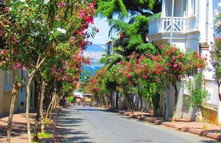 Büyükada Nerede, Nasıl Gidilir?